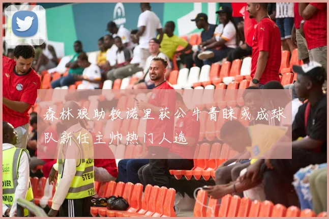 森林狼助教诺里获公牛青睐或成球队新任主帅热门人选